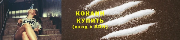 mdpv Краснослободск
