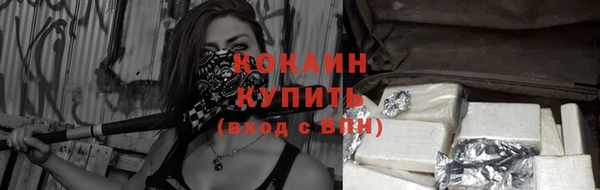 шишки Краснотурьинск