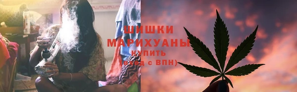 шишки Краснотурьинск