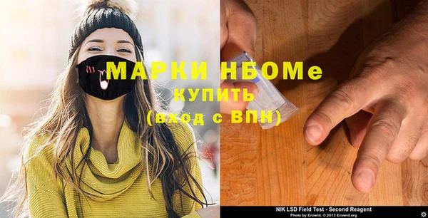 шишки Покачи
