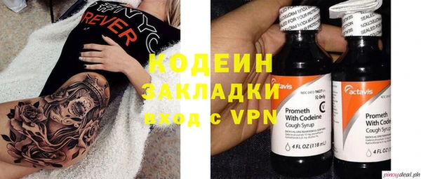 шишки Осинники