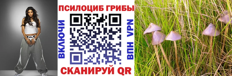 Псилоцибиновые грибы GOLDEN TEACHER  Сызрань 
