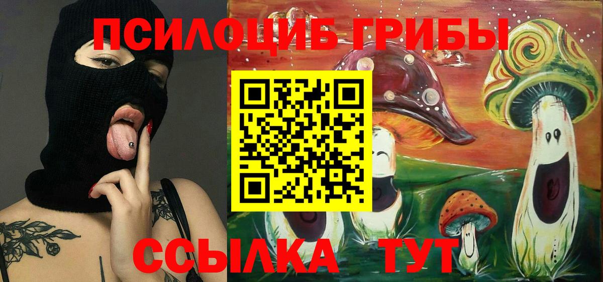Псилоцибиновые грибы прущие грибы  Вход с VPN  Сызрань 