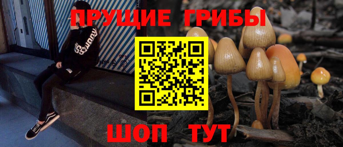 Галлюциногенные грибы Psilocybine cubensis Сызрань